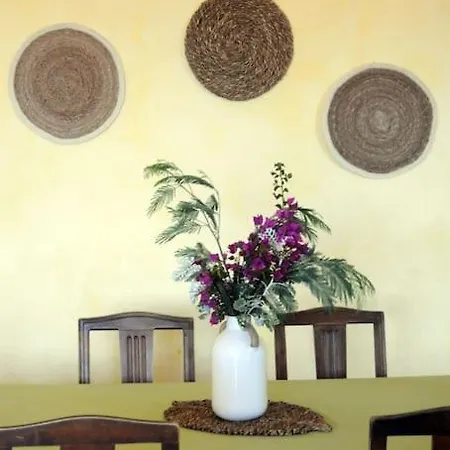 Beautiful Sea View, Ac, Garden, Minutes Away By Foot! Rayol-Canadel-sur-Mer