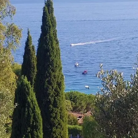 Vue Jardin à Pied - St-tropez 25km Le Rayol-Canadel-sur-Mer