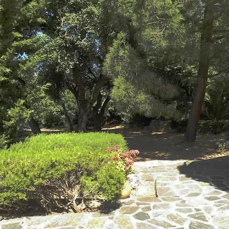 Apartment Beautiful Sea View, Ac, Garden, Minutes Away By Foot! *