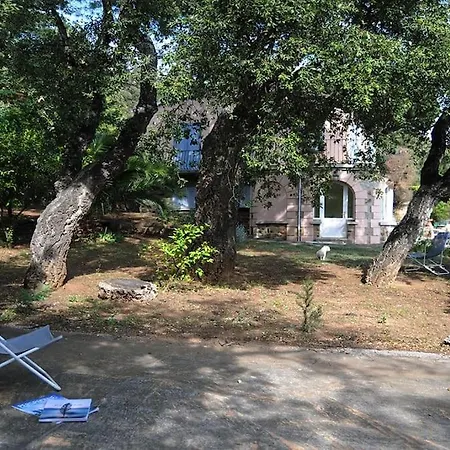 Apartment Beautiful Sea View, Ac, Garden, Minutes Away By Foot! *