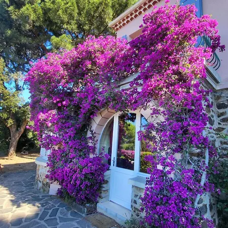 Vue Jardin A Pied - St-tropez 25km Le Rayol-Canadel-sur-Mer