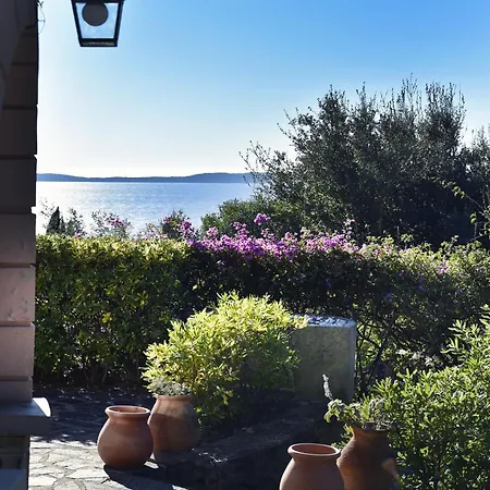Vue Jardin A Pied - St-tropez 25km * Le Rayol-Canadel-sur-Mer